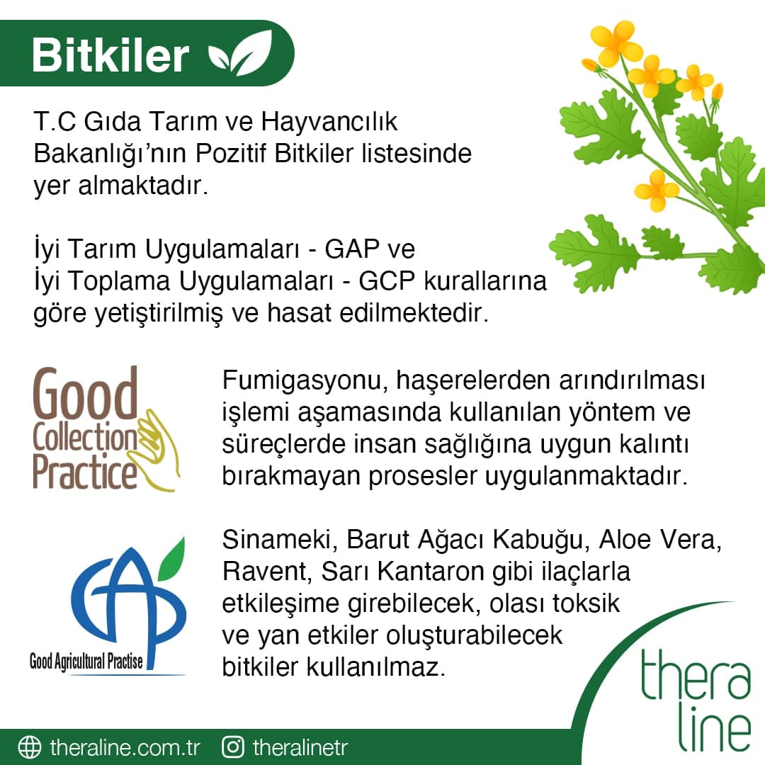 Bitkiler: Pozitif Bitkiler listesi, GAP ve GCP kurallarıyla yetiştirme ve hasat